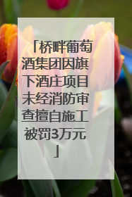 桥畔葡萄酒集团因旗下酒庄项目未经消防审查擅自施工被罚3万元