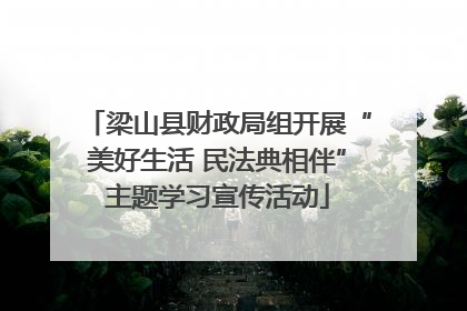 梁山县财政局组开展“美好生活 民法典相伴”主题学习宣传活动