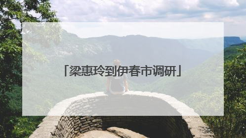 梁惠玲到伊春市调研
