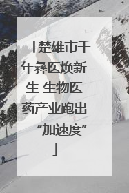 楚雄市千年彝医焕新生 生物医药产业跑出“加速度”