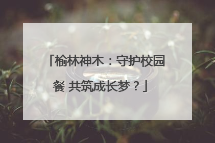 榆林神木：守护校园餐 共筑成长梦？