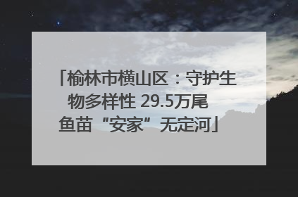 榆林市横山区：守护生物多样性 29.5万尾鱼苗“安家”无定河