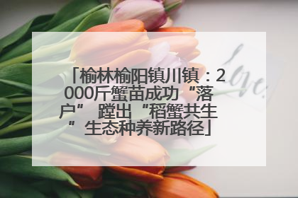 榆林榆阳镇川镇：2000斤蟹苗成功“落户” 蹚出“稻蟹共生”生态种养新路径