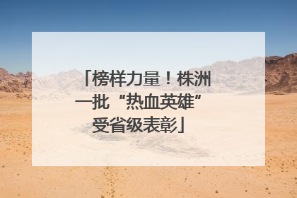 榜样力量！株洲一批“热血英雄”受省级表彰