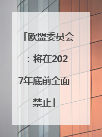 欧盟委员会：将在2027年底前全面禁止