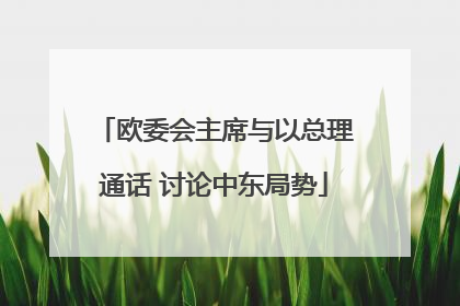 欧委会主席与以总理通话 讨论中东局势