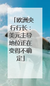 欧洲央行行长：美元主导地位正在变得不确定
