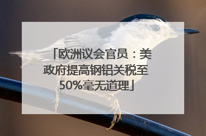 欧洲议会官员：美政府提高钢铝关税至50%毫无道理
