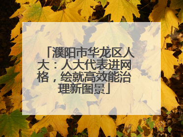 濮阳市华龙区人大：人大代表进网格，绘就高效能治理新图景