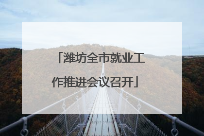 潍坊全市就业工作推进会议召开