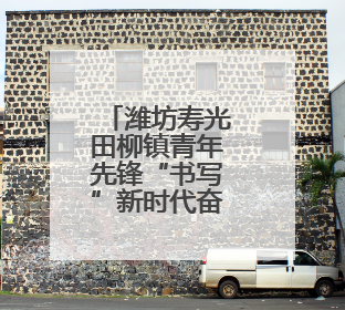 潍坊寿光田柳镇青年先锋“书写”新时代奋斗篇章