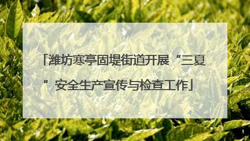 潍坊寒亭固堤街道开展“三夏”安全生产宣传与检查工作