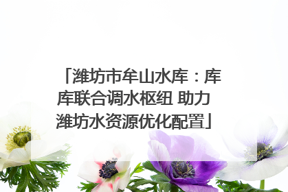潍坊市牟山水库：库库联合调水枢纽 助力潍坊水资源优化配置