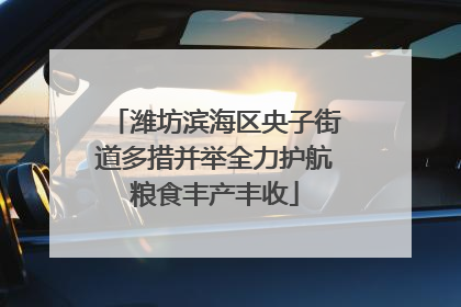 潍坊滨海区央子街道多措并举全力护航粮食丰产丰收