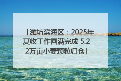 潍坊滨海区：2025年夏收工作圆满完成 5.22万亩小麦颗粒归仓