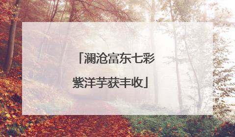 澜沧富东七彩紫洋芋获丰收