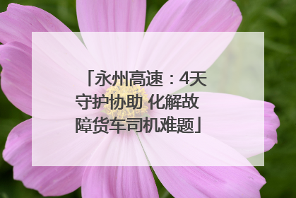 永州高速：4天守护协助 化解故障货车司机难题