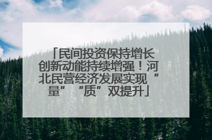 民间投资保持增长 创新动能持续增强！河北民营经济发展实现“量”“质”双提升