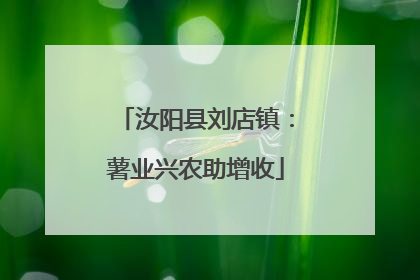 汝阳县刘店镇：薯业兴农助增收