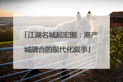 江湖名城起宏图：港产城融合的现代化叙事
