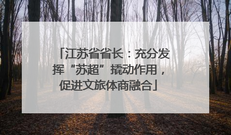 江苏省省长：充分发挥“苏超”撬动作用，促进文旅体商融合