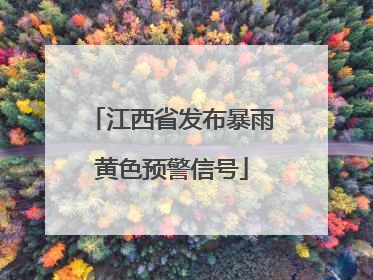 江西省发布暴雨黄色预警信号