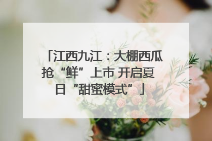 江西九江：大棚西瓜抢“鲜”上市 开启夏日“甜蜜模式”
