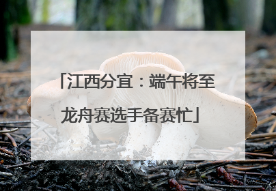 江西分宜：端午将至 龙舟赛选手备赛忙