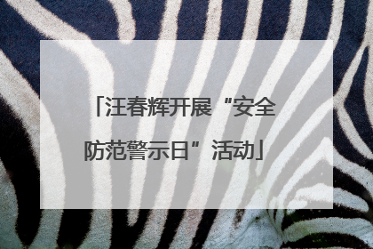 汪春辉开展“安全防范警示日”活动
