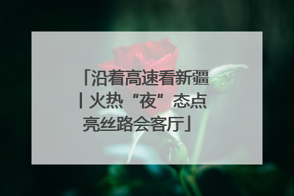 沿着高速看新疆丨火热“夜”态点亮丝路会客厅
