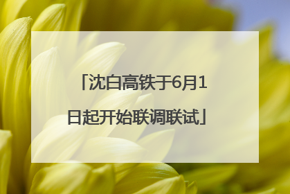 沈白高铁于6月1日起开始联调联试