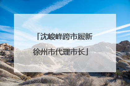 沈峻峰跨市履新徐州市代理市长