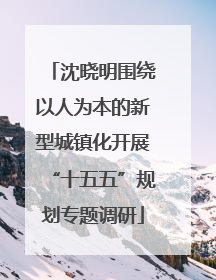 沈晓明围绕以人为本的新型城镇化开展“十五五”规划专题调研