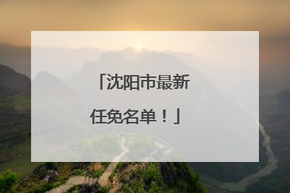 沈阳市最新任免名单！