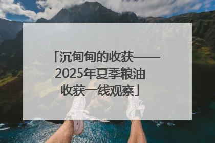 沉甸甸的收获——2025年夏季粮油收获一线观察