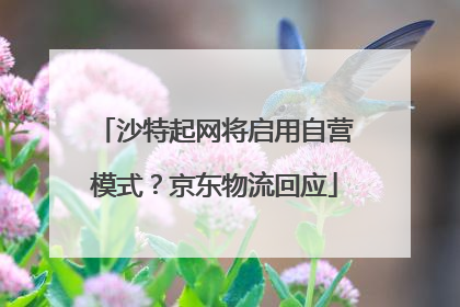 沙特起网将启用自营模式？京东物流回应