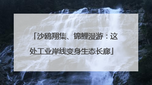 沙鸥翔集、锦鲤漫游：这处工业岸线变身生态长廊