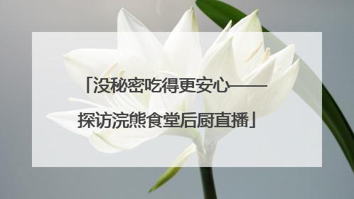 没秘密吃得更安心——探访浣熊食堂后厨直播