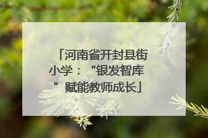 河南省开封县街小学：“银发智库”赋能教师成长