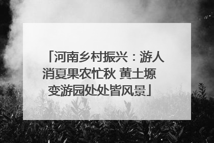 河南乡村振兴：游人消夏果农忙秋 黄土塬变游园处处皆风景