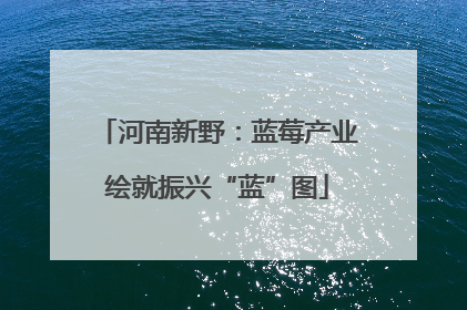 河南新野：蓝莓产业绘就振兴“蓝”图