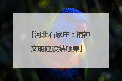 河北石家庄：精神文明建设结硕果