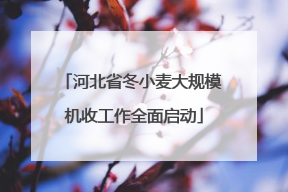 河北省冬小麦大规模机收工作全面启动
