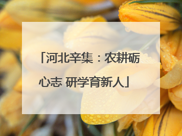 河北辛集：农耕砺心志 研学育新人