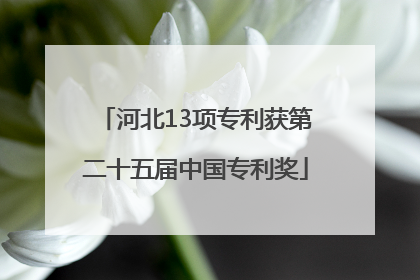 河北13项专利获第二十五届中国专利奖