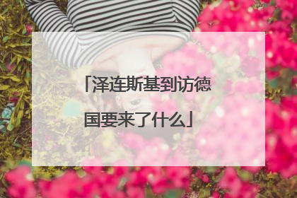 泽连斯基到访德国要来了什么