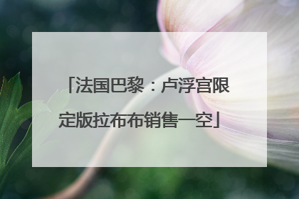 法国巴黎：卢浮宫限定版拉布布销售一空