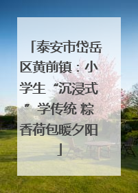 泰安市岱岳区黄前镇：小学生“沉浸式”学传统 粽香荷包暖夕阳