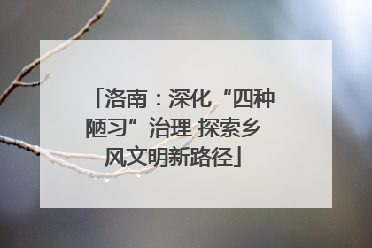 洛南：深化“四种陋习”治理 探索乡风文明新路径