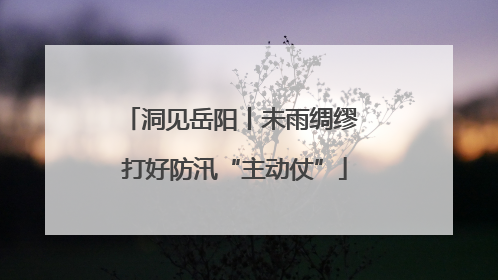 洞见岳阳丨未雨绸缪 打好防汛“主动仗”